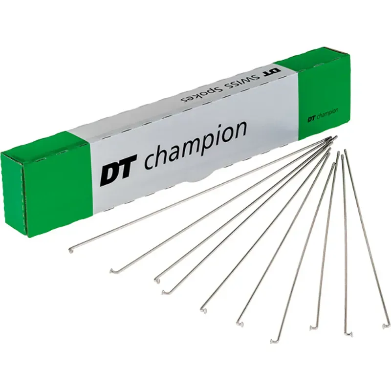 DT Swiss Champion 100-pack Silver Spokes - 2x244mm