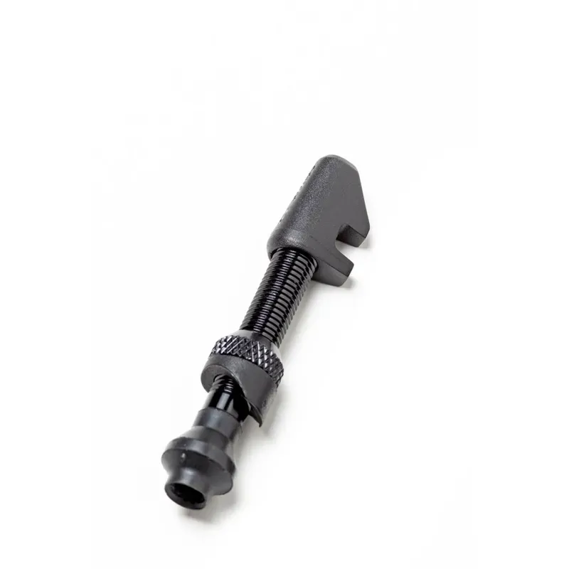 SEALANT DT Swiss Lightweight Alu Valve-3