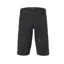 Giro Havoc H20 Shorts in Black